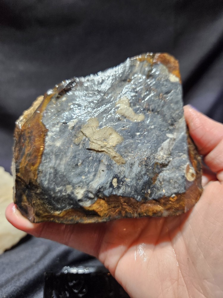 Biggs Jasper Multi Colored w/ Dendric Specimen Natural Form (14oz)