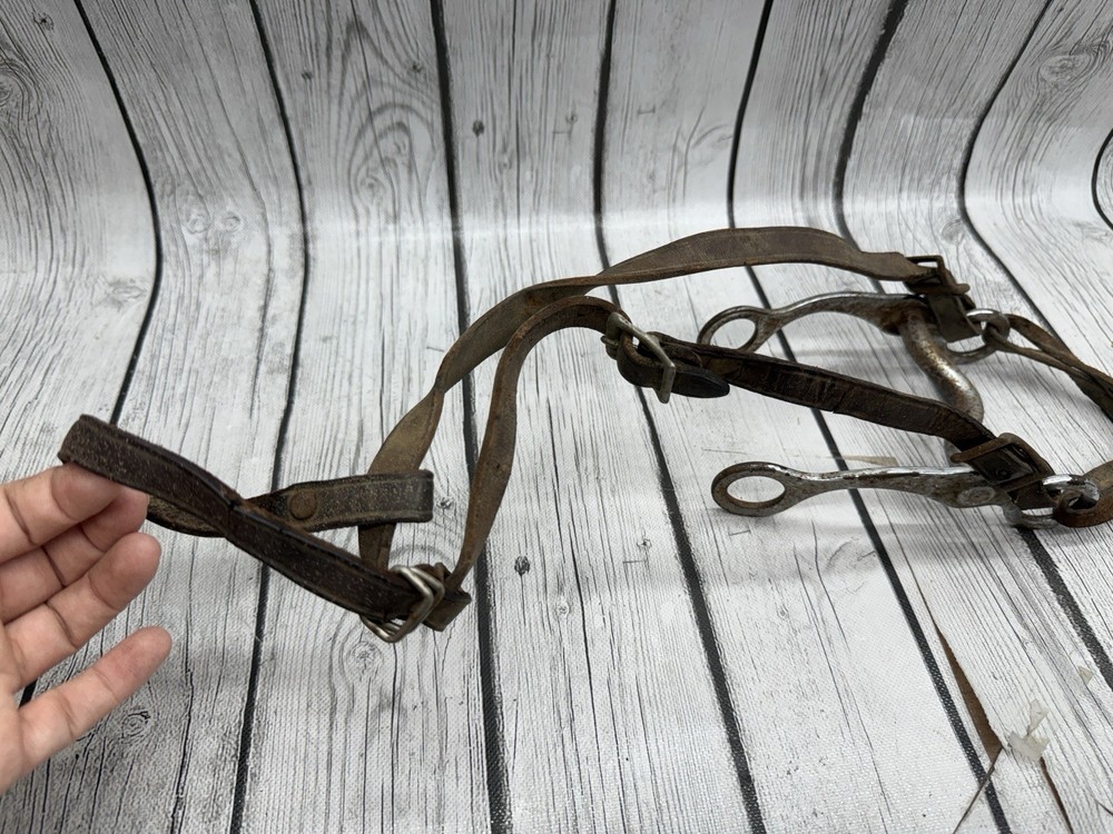 Vintage House Mouth Bit