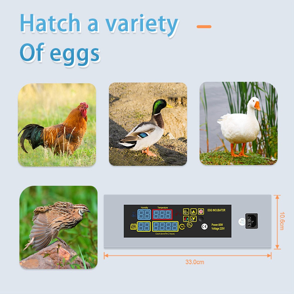 US Plug 110V Egg Incubator Automatic Hatcher DIY Poultry Hatching Machine lp
