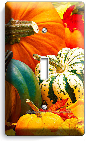 PUMPKINS SQUASH HARVEST SINGLE LIGHT SWITCH WALL PLATE COVER KITCHEN DINING ROOM
