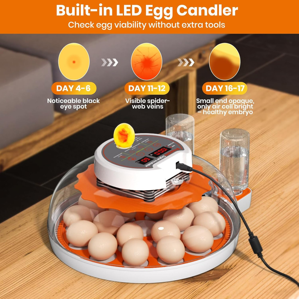 Incubators for Hatching Eggs - 18 Egg Capacity，Automatic Egg Turner，360° Viewing