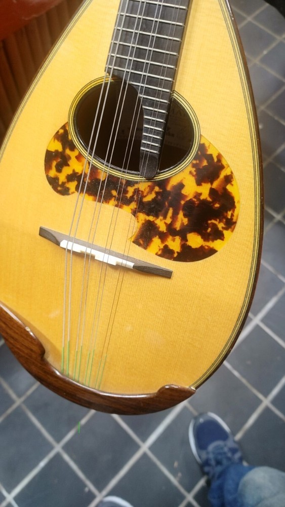 Mandolin ikegaku stringed instrument with case