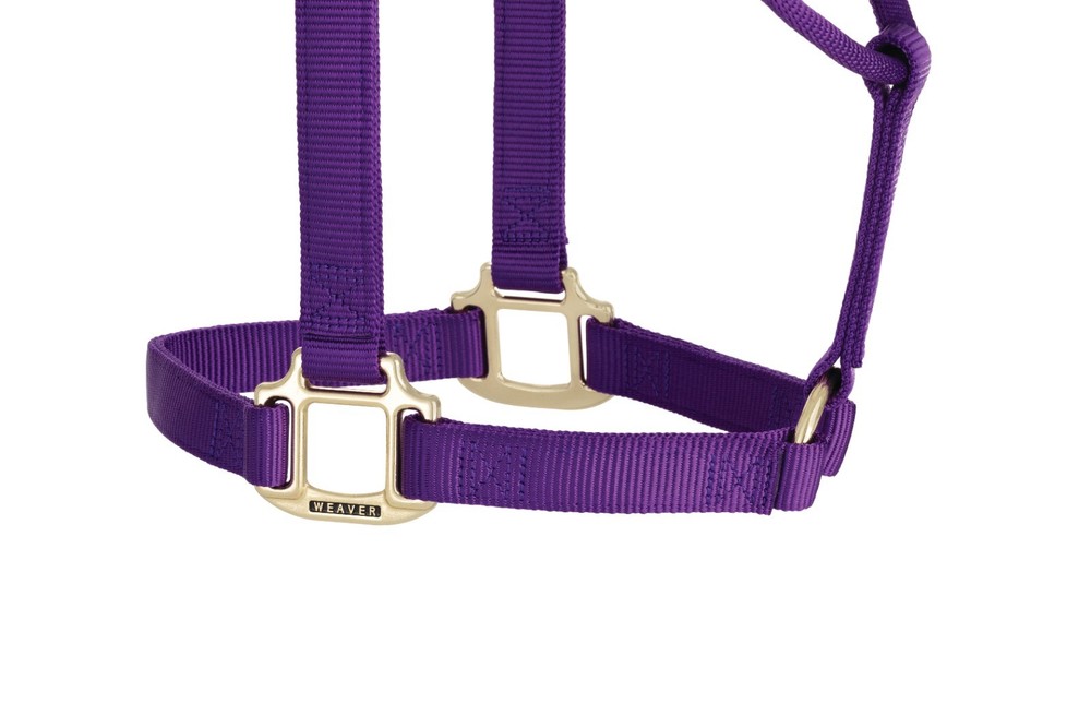 Original Non-Adjustable Halter , 1" Purple