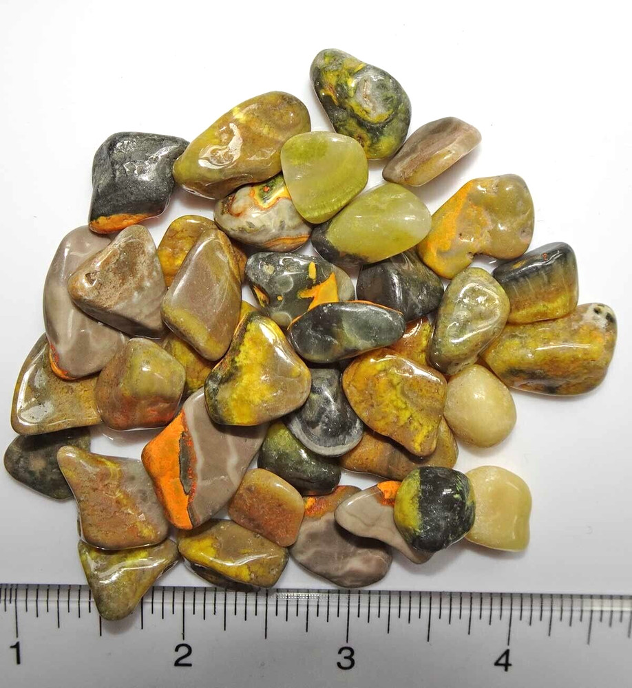 Bumblebee Jasper  - 30 Tumbled Stones rt493d