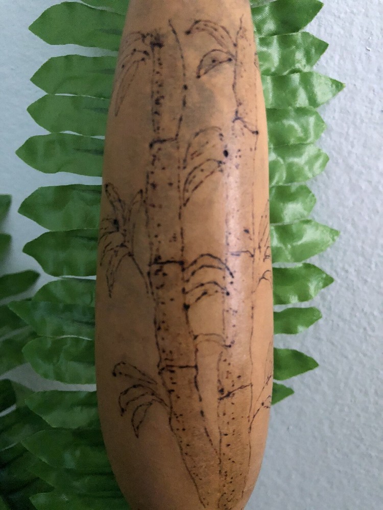 Fresh Bamboo Ornament Gourd Garden Collection