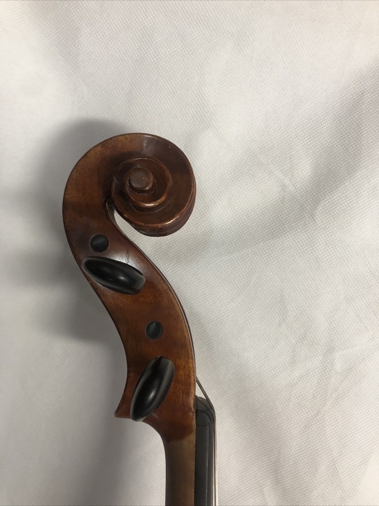 Angel Taylor A420 Viola 16”