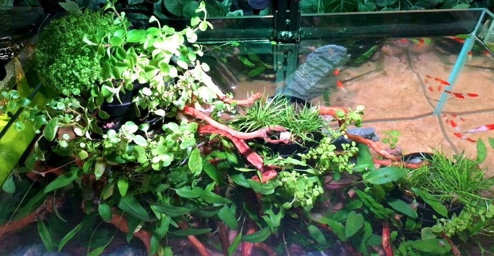 Modular Planter for Planted Tanks | TRIO Modular System (3 Tier Unit)