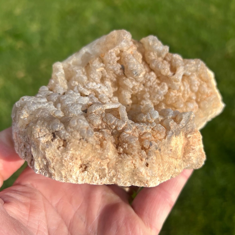 Succor Creek Botryoidal Agate Specimen 658gm (Y2)