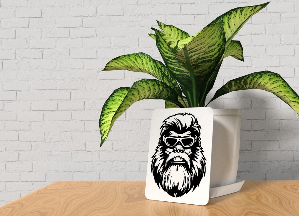 Monkey | Funny sign For Home or Office
