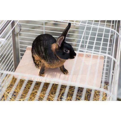 Wood Side Platform (Medium) - Cage Shelf - Sugar Glider, Squirrel, Hamster