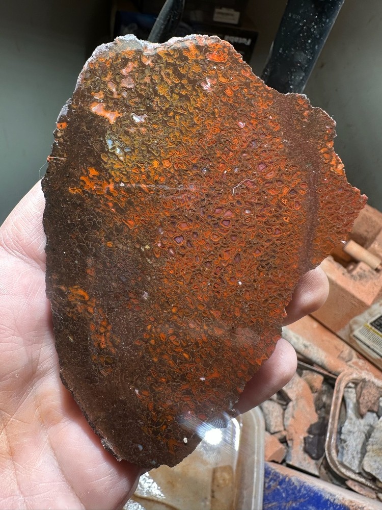 Dinosaur bone rough **hxtled slab.