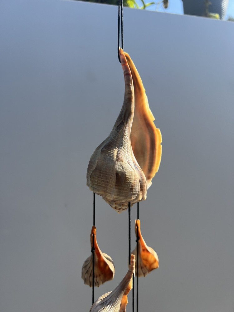 Large Lightning Whelk and Lightning Whelk Bells Sea Shell Windchime *Handmade