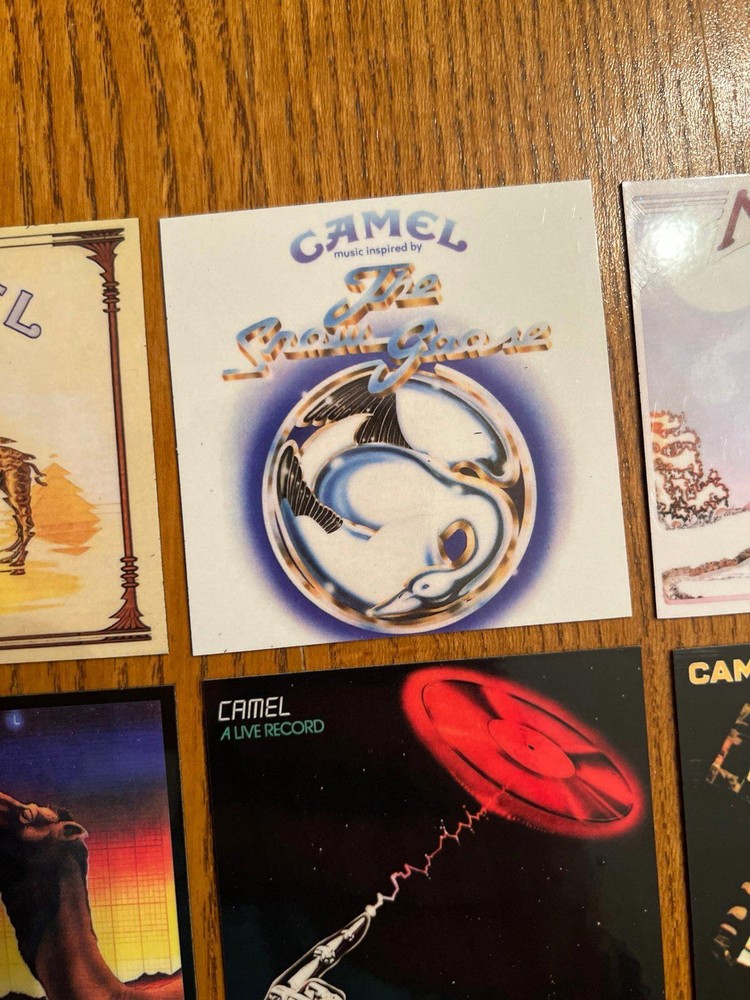 Camel fridge magnets