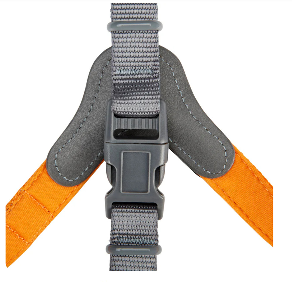 Comforrt Harness Size Large