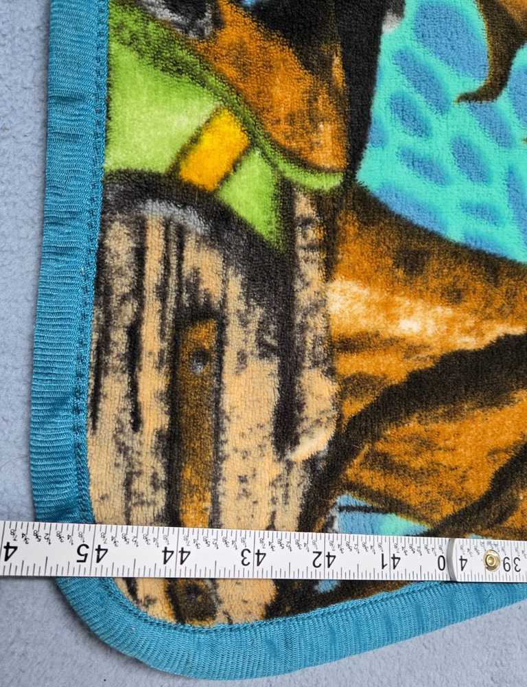 How To Train Your Dragon Throw Blanket from Original Release 2010