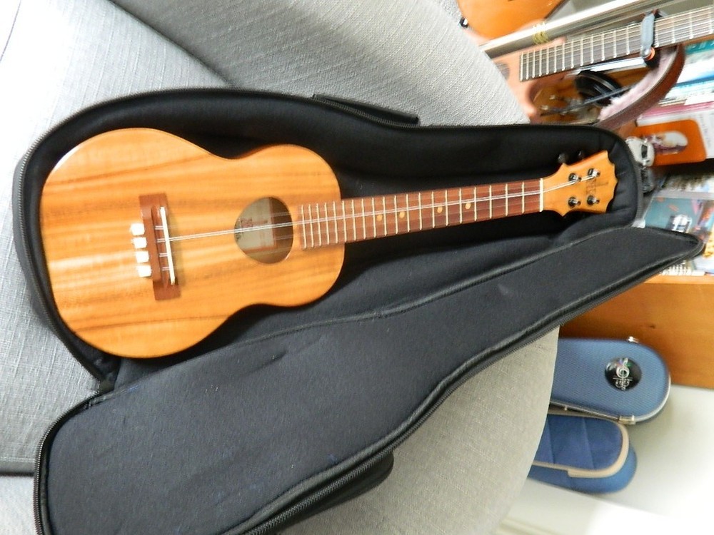 Ukulele, tenor, Koaoha Opio