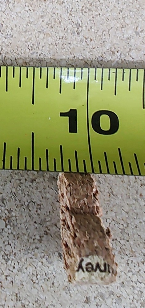 Pre-Cut Wine Corks - Heart Shaped (250+)