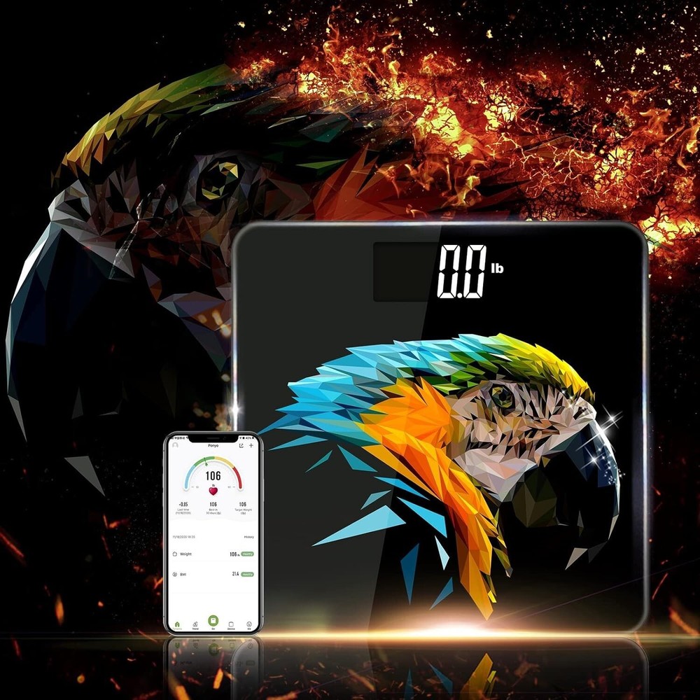 Wireless Smart Scale Large LCD Display Digital Bathroom Scale BMI tracking Macaw