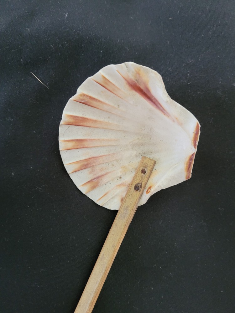 WW2 Era Japanese Shellfish Sea Shell rice scoop