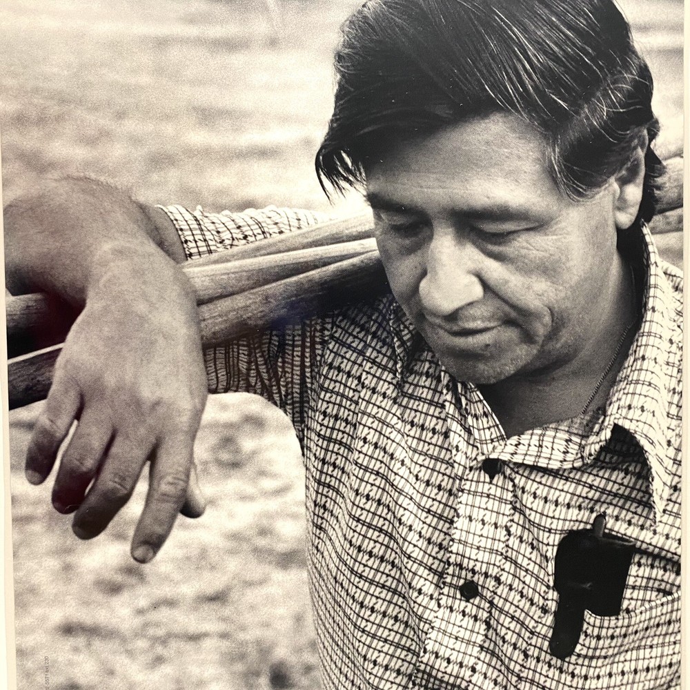 Apple Think Different Cesar Chavez Laminated Poster 11X17 Original Educator Y2K