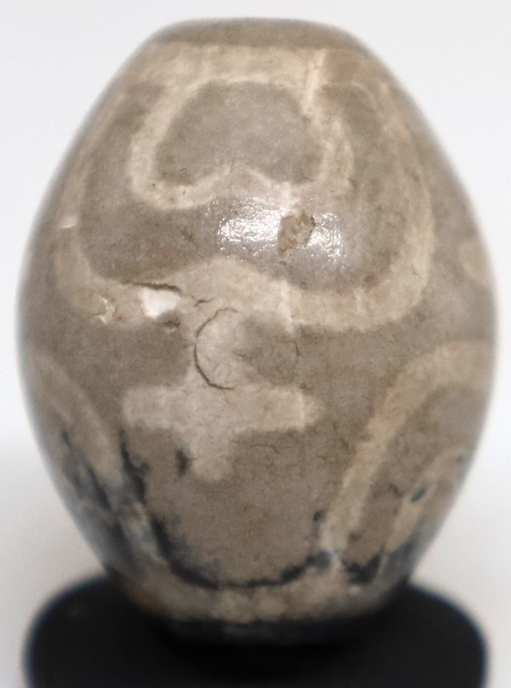 Himalayan Indo Agate DZI Old Genuine Ancient Longevity Patten Good Luck Bead