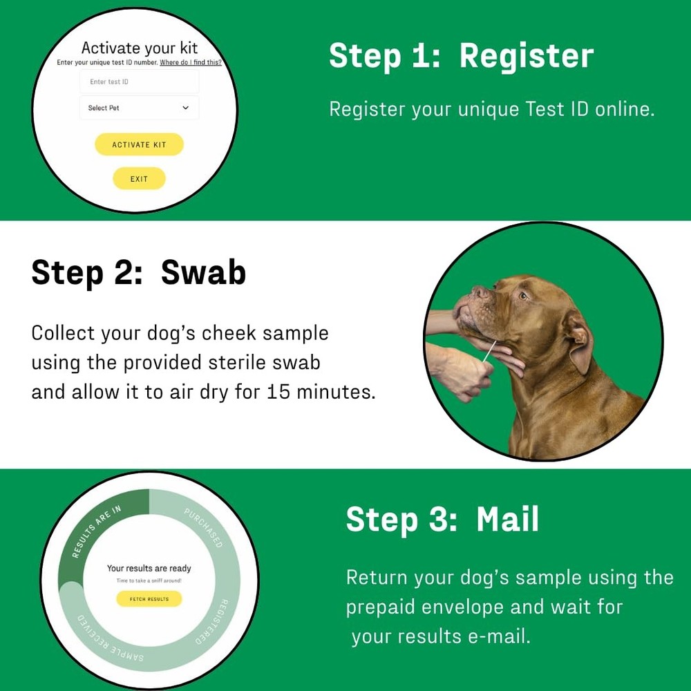 – Trusted & Affordable Breed Identification Test | 350+ Breeds Identified w/ ...