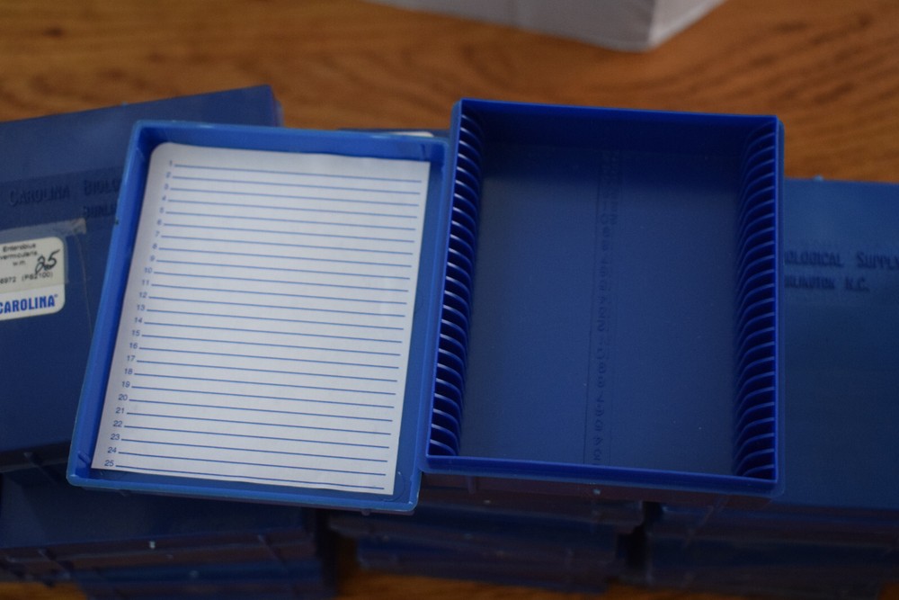 18 blue plastic microscope slide boxes from Carolina Biological Supply