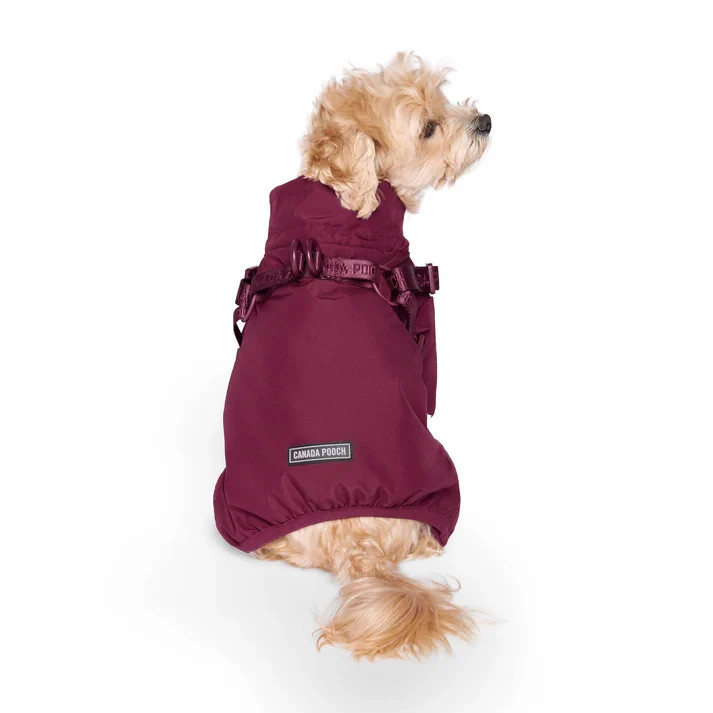 Canada Pooch Harness Snowsuit - Black or Plum - Various - £55