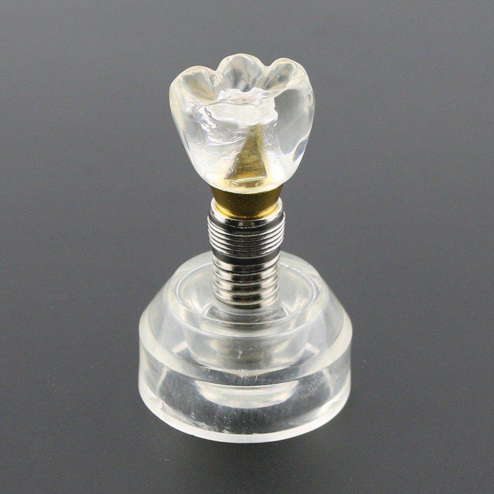 Dental Implant DemonstrationTeeth Study Teach Crown Model Acrylic Teeth Study