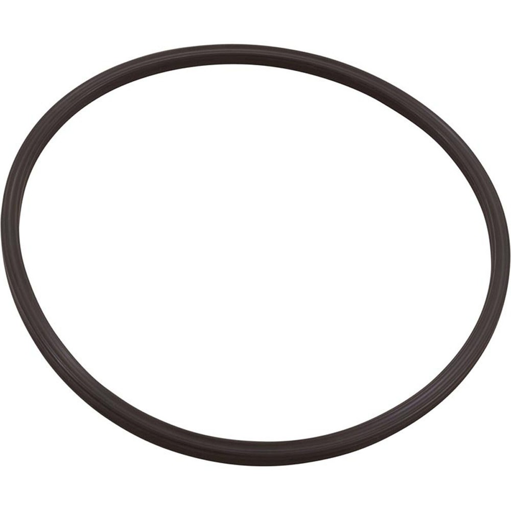 005-152-0120-00 O-Ring, Paramount Leaf Canister, Lid