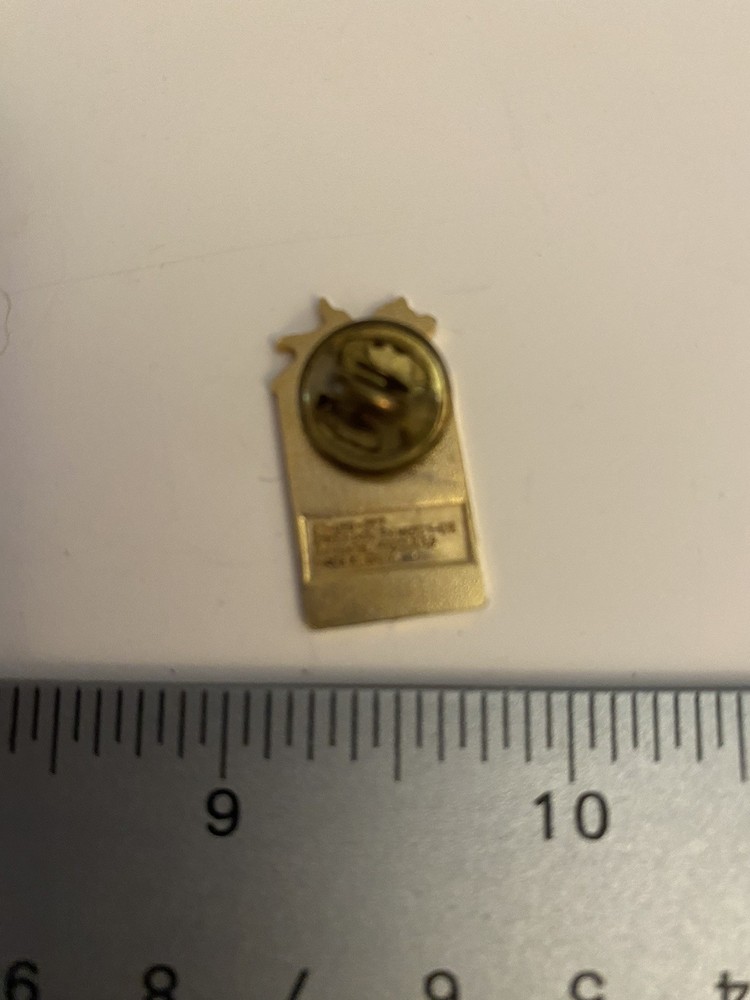 Visa Nagano 1998 Olympic Lapel Pin P29
