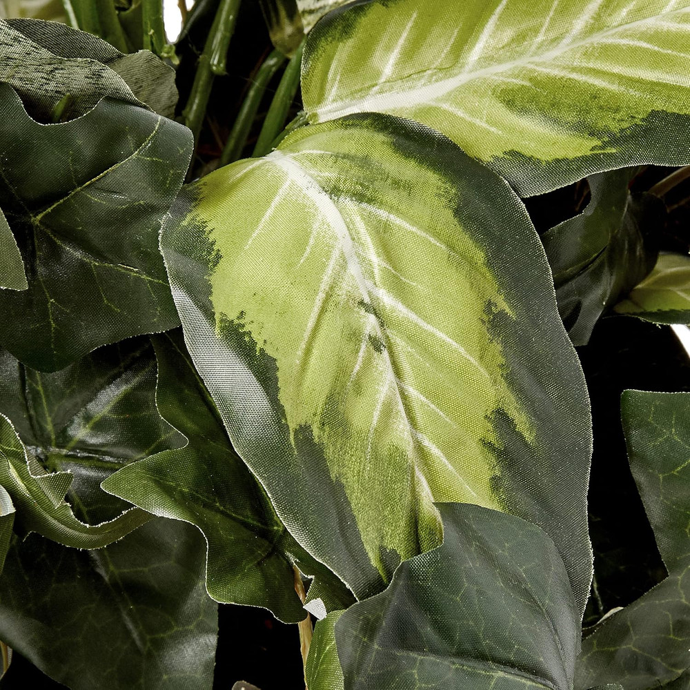 Dieffenbachia & Ivy with Decorative Planter