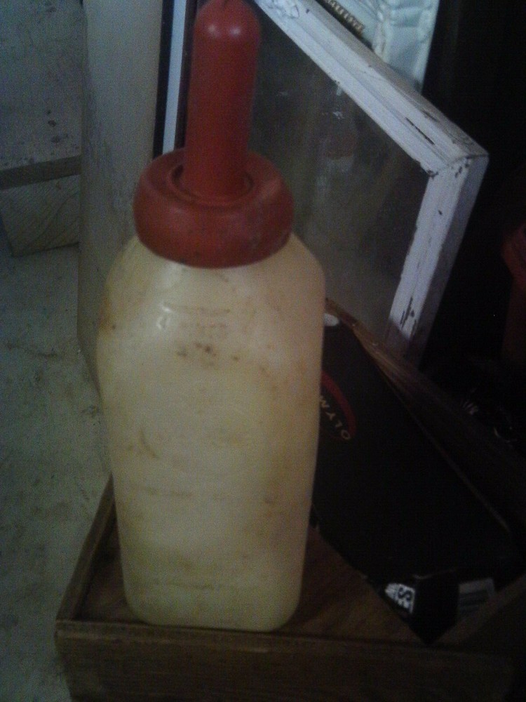 13" Suckle Nursing Bottle Carnation Albers used 2 available