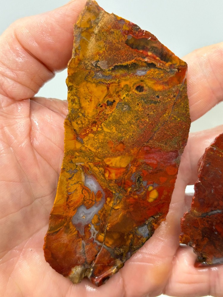 Mexican Cathedral Agate Slabs Cabbing Lapidary Combo Ship Avail