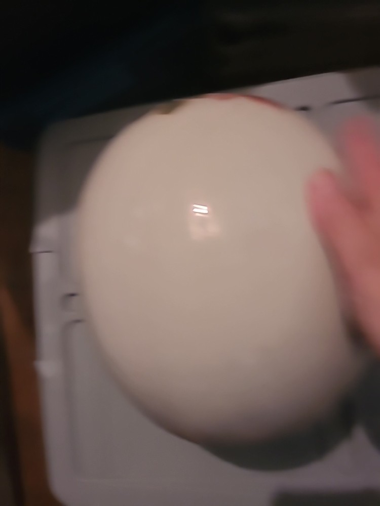 VTG. HUGE EGG VASE OR DECORATION