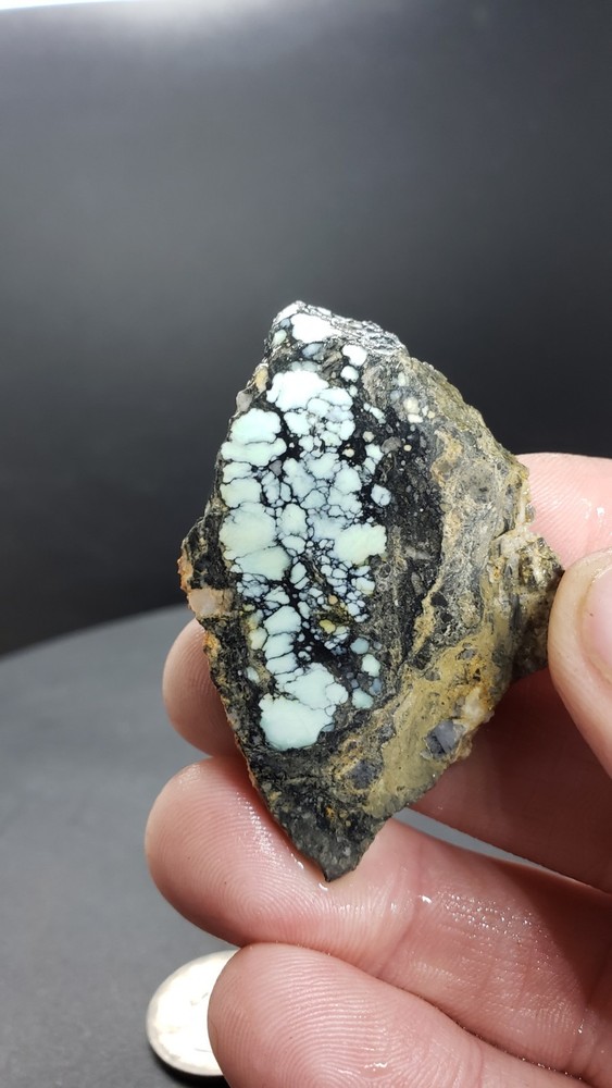 Nevada Polychrome Gecko Variscite Slab
