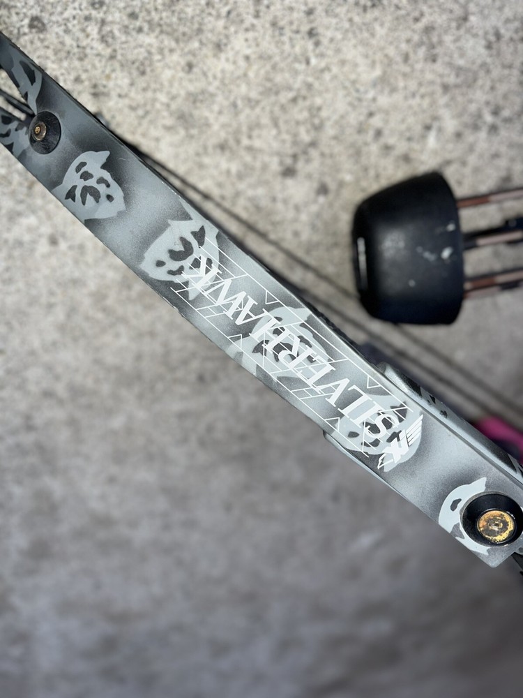 SilverHawk Compound Bow