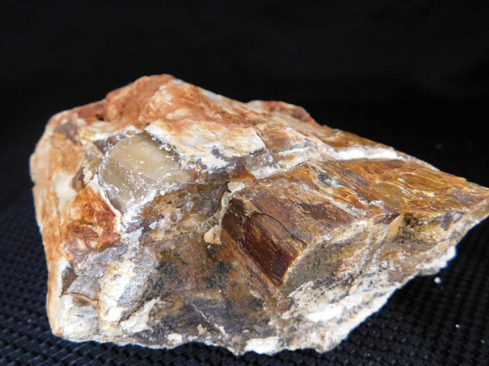 Translucent Agatized and Opalized Limb Cast Central WA Vintage 2 lbs. 14oz
