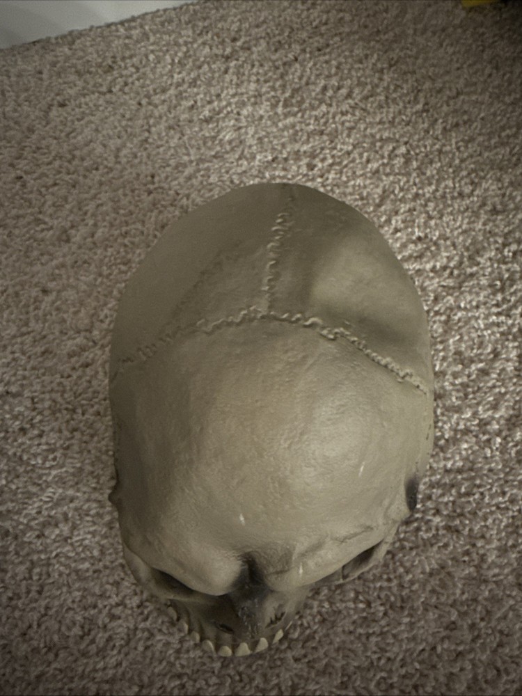 Spooky Skeleton Mask Halloween Costume Accessory