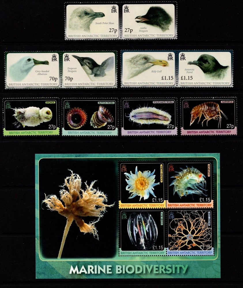 BRITISH ANTARCTIC TERRITORY  2010 COMPLETE YEAR SET:  2 SETS + 3 MINISHEETS  MNH