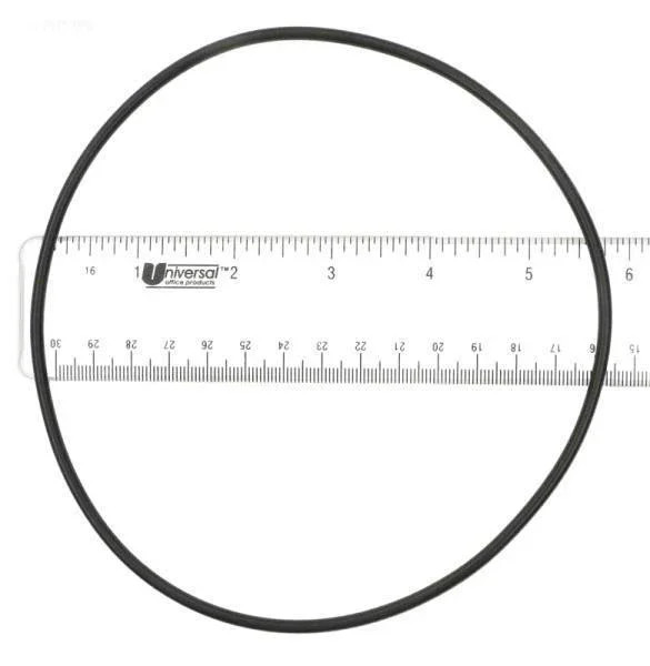 O-Ring, Filter Done Lid