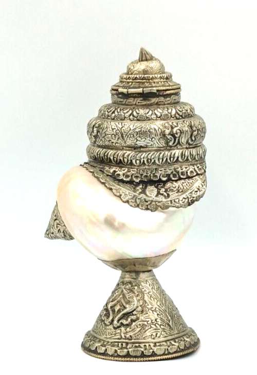 Antique Anglo Indian Silver Nautilus SIGNED Shell Cup