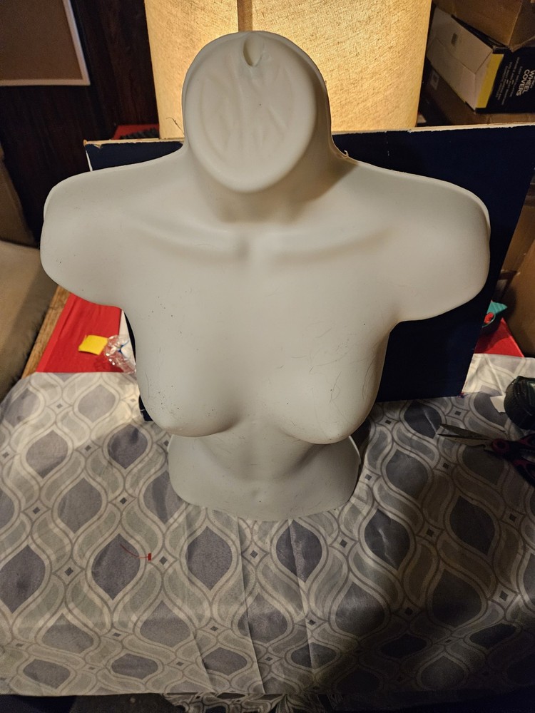 female hollow plastic bust model small to large