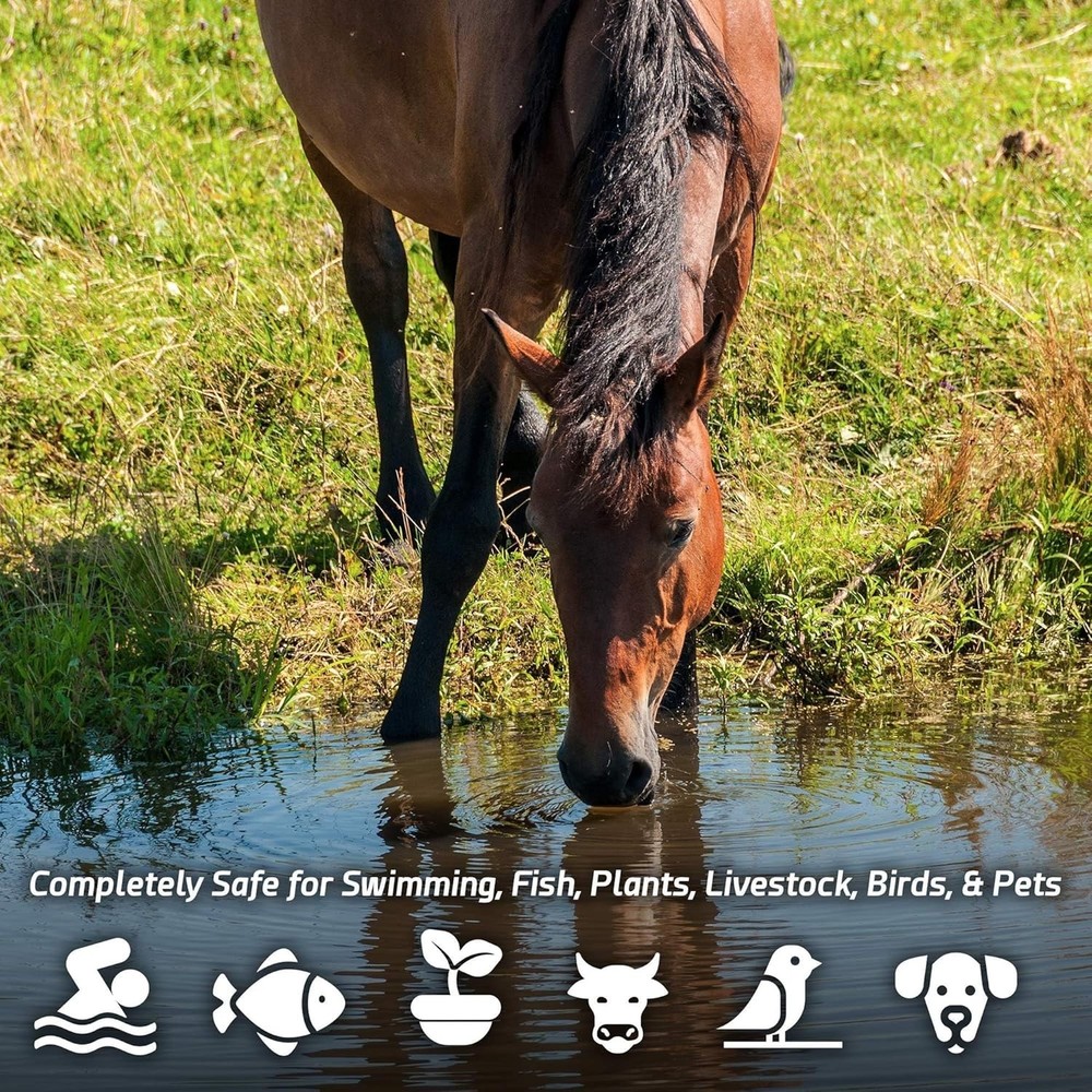 Eco-Friendly Pond Maintenance Solution - 10 Scoops, 50 Feet Coverage, USA Made