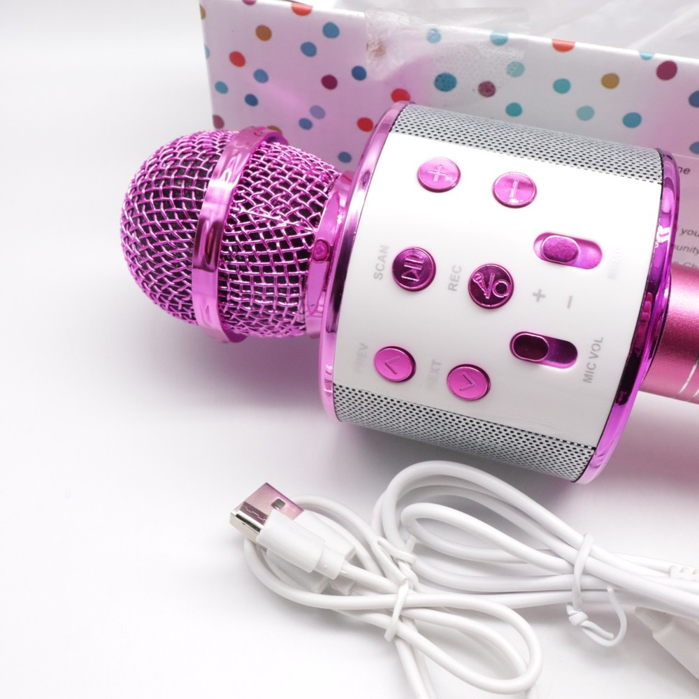 Girls Pink Karaoke Microphone Box Plug USB