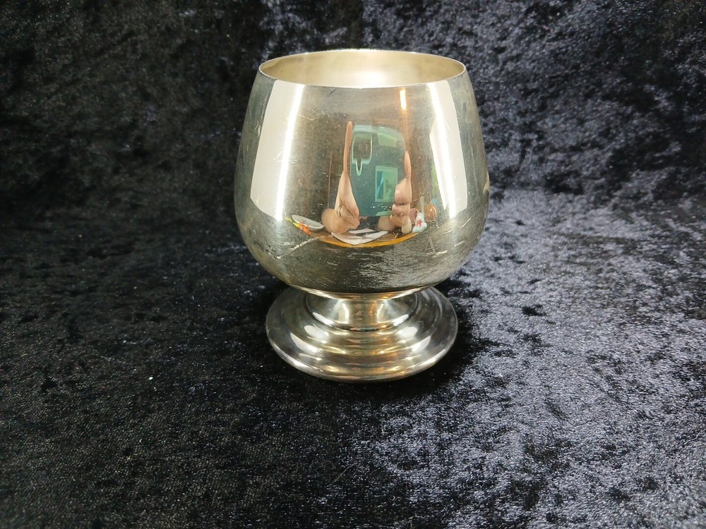 wm rogers silverplate Cup Fall 1970 Pledge Alpha Gama Delta