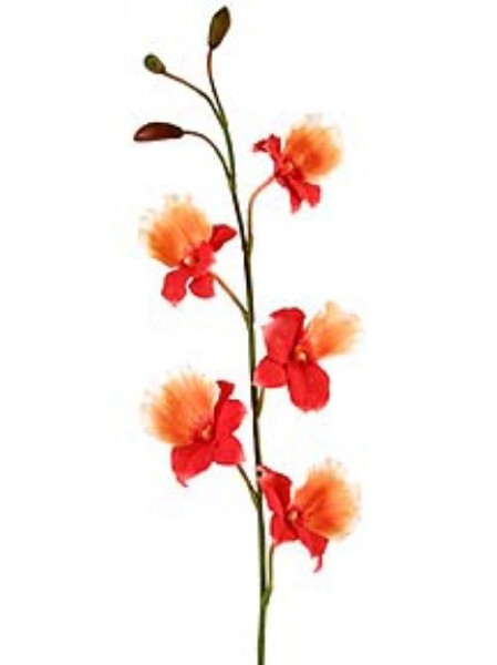 Artificial miltoniopsis orchid stem CORAL/PEACH