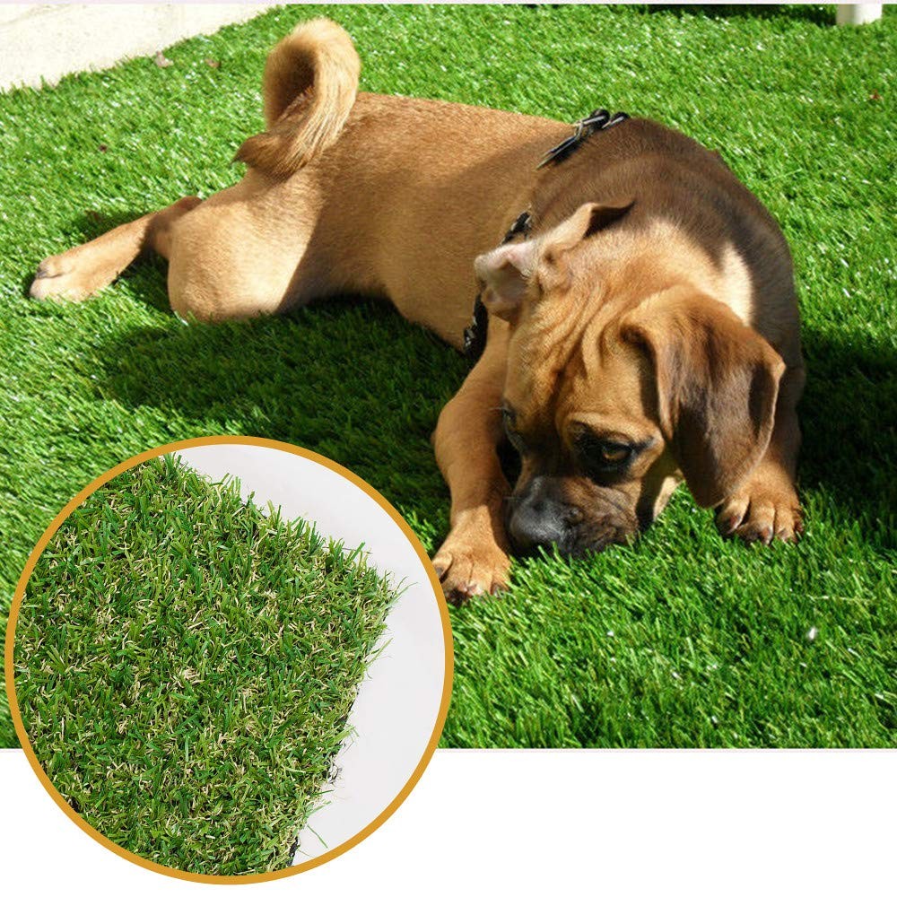 ALTRUISTIC Thick Realistic Artificial Grass Mat Customized Sizes, 5ft x 10ft ...