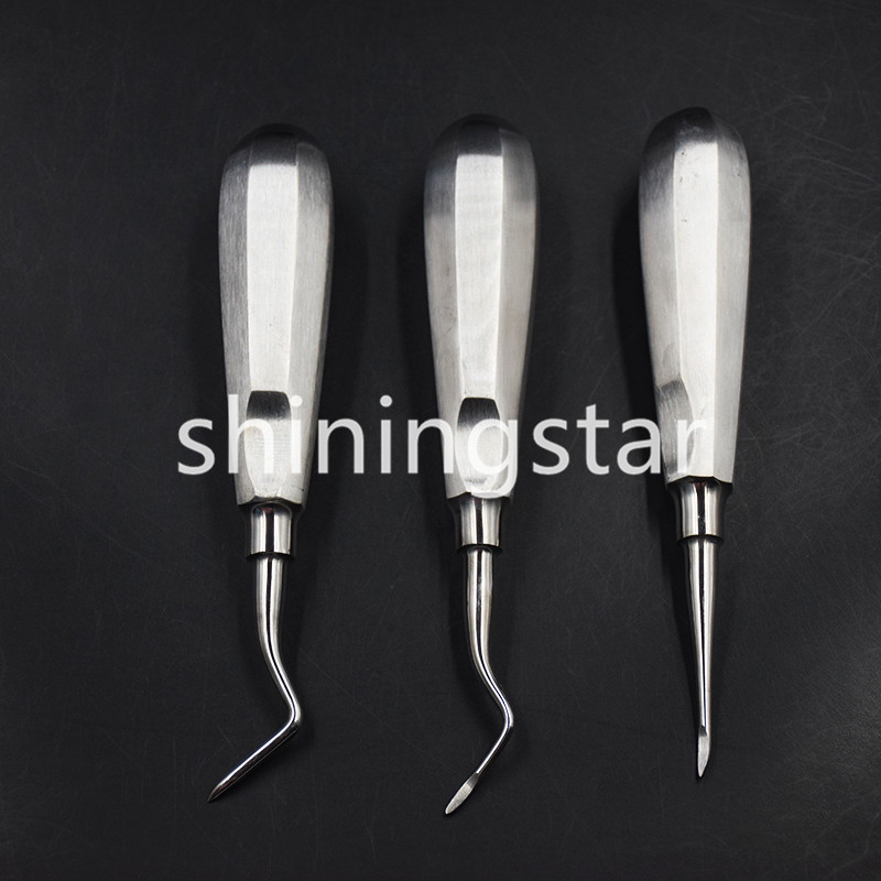 6 Pcs Dental Apical/Apex Elevator Extraction Root Elevator Left/Right/Straight