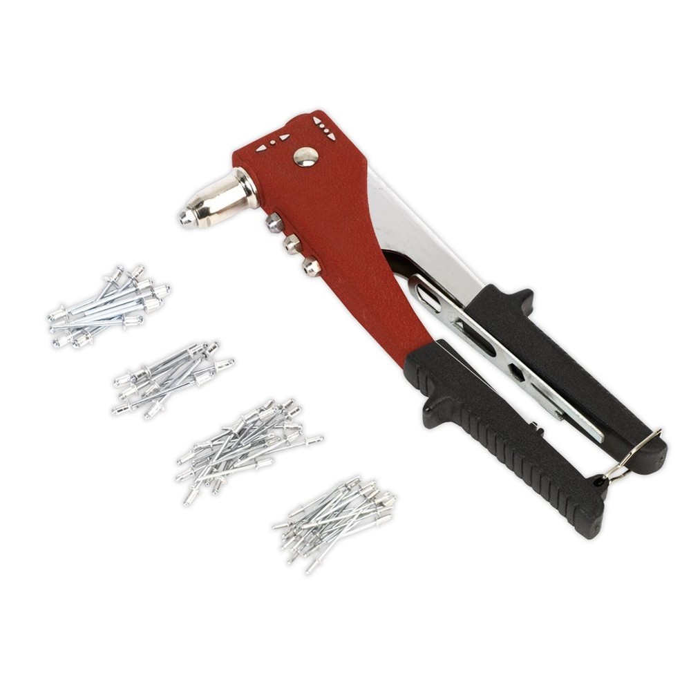 Sealey 2-Way Riveting Kit AK397